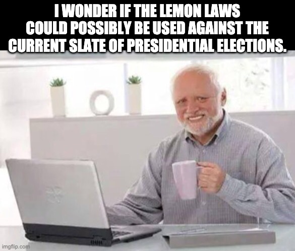 Lemon laws | I WONDER IF THE LEMON LAWS COULD POSSIBLY BE USED AGAINST THE CURRENT SLATE OF PRESIDENTIAL ELECTIONS. | image tagged in harold | made w/ Imgflip meme maker