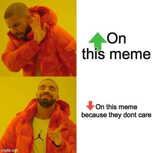 Drake Hotline Bling Meme | On this meme On this meme because they dont care | image tagged in memes,drake hotline bling | made w/ Imgflip meme maker