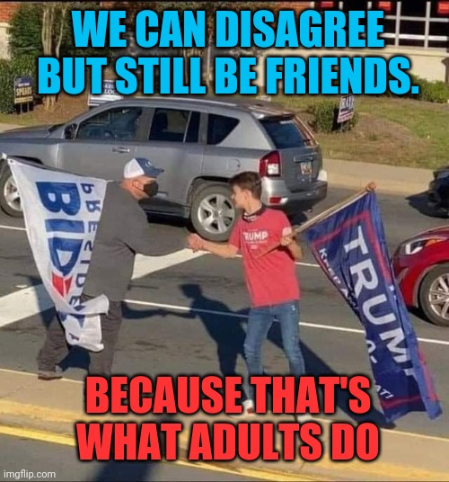 Let's not let politics divide We the People |  WE CAN DISAGREE BUT STILL BE FRIENDS. BECAUSE THAT'S WHAT ADULTS DO | image tagged in politics,republicans,democrats,we the people,god bless america | made w/ Imgflip meme maker