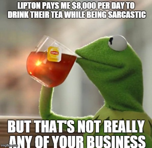 KERMIT BEING RICH | image tagged in funny,kermit the frog,memes,funny memes | made w/ Imgflip meme maker