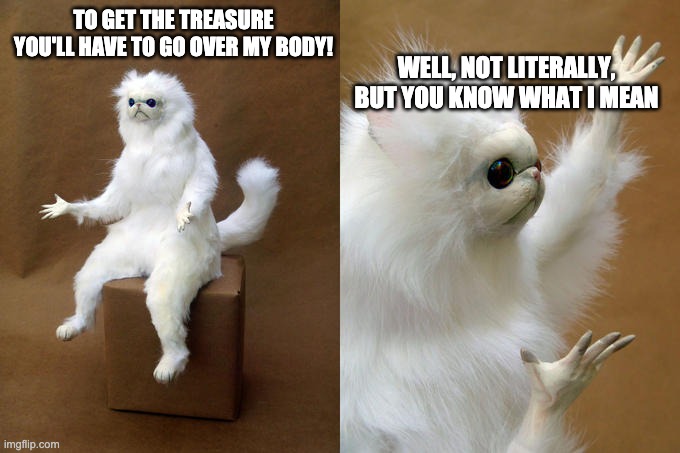 Old sayings can be dangerous! | WELL, NOT LITERALLY, BUT YOU KNOW WHAT I MEAN; TO GET THE TREASURE YOU'LL HAVE TO GO OVER MY BODY! | image tagged in memes,persian cat room guardian | made w/ Imgflip meme maker
