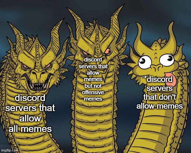 :/ | discord servers that allow all memes; discord servers that allow memes but not offensive memes; discord servers that don't allow memes | image tagged in three dragons | made w/ Imgflip meme maker