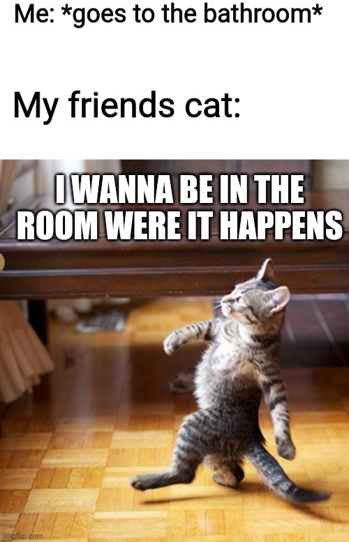 Seriously why do cats like to watch people go to the bathroom lol | Me: *goes to the bathroom*; My friends cat:; I WANNA BE IN THE ROOM WERE IT HAPPENS | image tagged in blank white template,cat walking like a boss | made w/ Imgflip meme maker