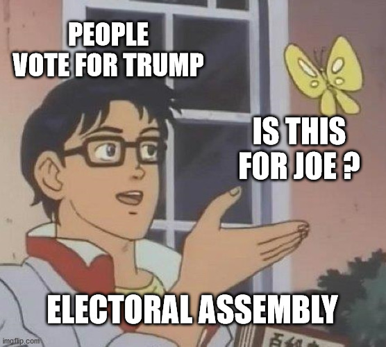 seriously why ? | PEOPLE VOTE FOR TRUMP; IS THIS FOR JOE ? ELECTORAL ASSEMBLY | image tagged in memes,is this a pigeon | made w/ Imgflip meme maker