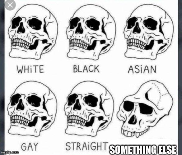 We are one, sort of. | SOMETHING ELSE | image tagged in white black asian gay straight skull template | made w/ Imgflip meme maker