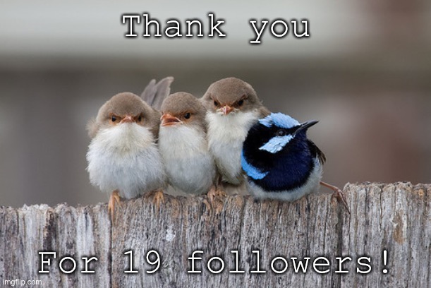 Very heckin grateful that we have 19 followers on dis stream! | Thank you; For 19 followers! | image tagged in animals,thank you,followers | made w/ Imgflip meme maker