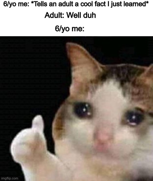 My self esteem gone | 6/yo me: *Tells an adult a cool fact I just learned*; Adult: Well duh; 6/yo me: | image tagged in sad thumbs up cat,6 year old,adult,young,sad | made w/ Imgflip meme maker