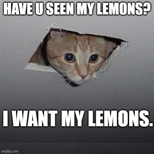 Ceiling Cat Meme | HAVE U SEEN MY LEMONS? I WANT MY LEMONS. | image tagged in memes,ceiling cat | made w/ Imgflip meme maker