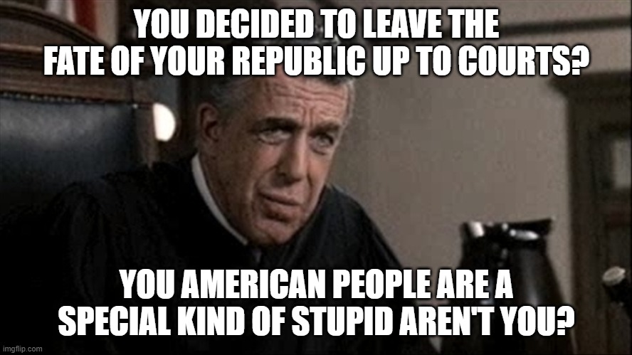 This will end badly | YOU DECIDED TO LEAVE THE FATE OF YOUR REPUBLIC UP TO COURTS? YOU AMERICAN PEOPLE ARE A SPECIAL KIND OF STUPID AREN'T YOU? | image tagged in my cousin vinny judge | made w/ Imgflip meme maker