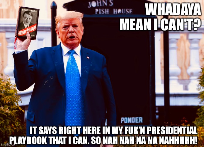 Mein Drumpf | WHADAYA MEAN I CAN’T? IT SAYS RIGHT HERE IN MY FUK’N PRESIDENTIAL PLAYBOOK THAT I CAN. SO NAH NAH NA NA NAHHHHH! | image tagged in trump,drumpf | made w/ Imgflip meme maker