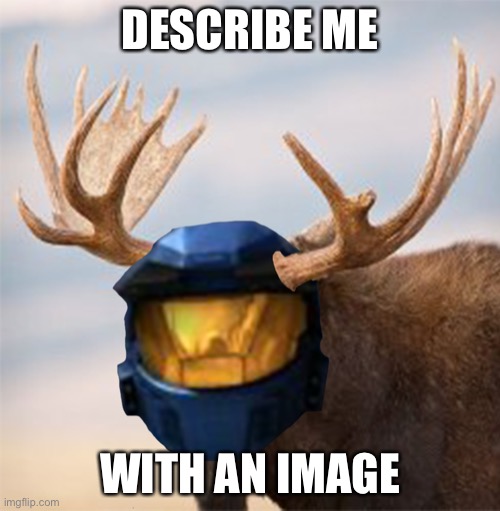 Camoose | DESCRIBE ME; WITH AN IMAGE | image tagged in camoose | made w/ Imgflip meme maker