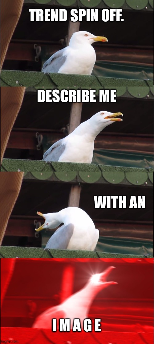 ¯\_(ツ)_/¯ | TREND SPIN OFF. DESCRIBE ME; WITH AN; I M A G E | image tagged in memes,inhaling seagull | made w/ Imgflip meme maker
