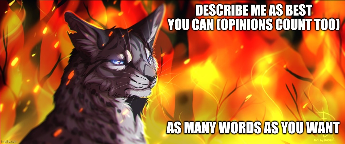 DESCRIBE ME AS BEST YOU CAN (OPINIONS COUNT TOO); AS MANY WORDS AS YOU WANT | made w/ Imgflip meme maker