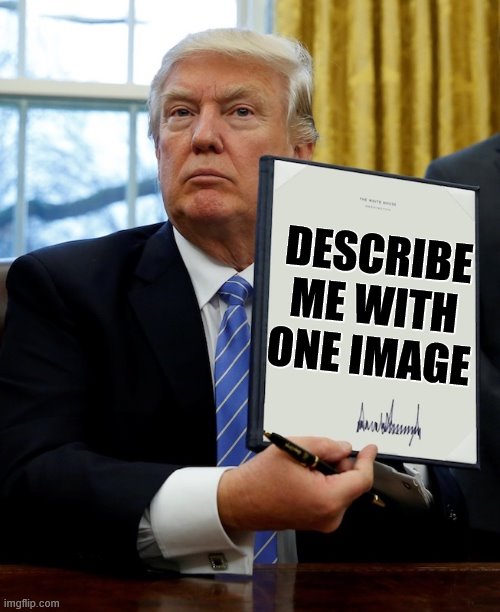 I M A G E | DESCRIBE ME WITH ONE IMAGE | image tagged in donald trump blank executive order | made w/ Imgflip meme maker