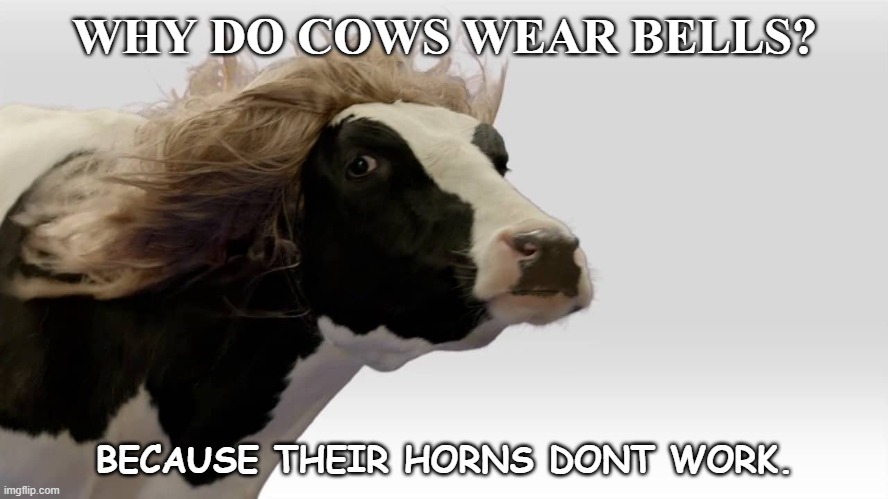 Daily Bad Dad Joke Nov 5 2020 | WHY DO COWS WEAR BELLS? BECAUSE THEIR HORNS DONT WORK. | image tagged in fabio cow | made w/ Imgflip meme maker