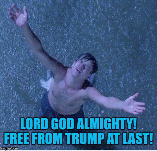 Shawshank redemption freedom | LORD GOD ALMIGHTY! FREE FROM TRUMP AT LAST! | image tagged in shawshank redemption freedom | made w/ Imgflip meme maker