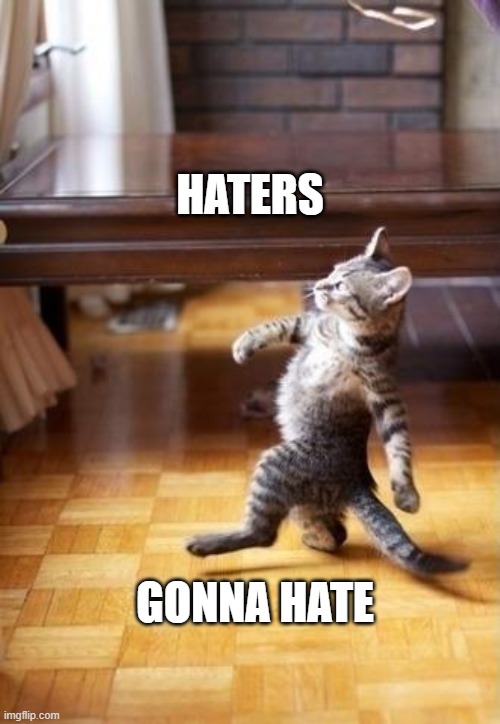 hater gonna hate | HATERS; GONNA HATE | image tagged in memes,cool cat stroll | made w/ Imgflip meme maker