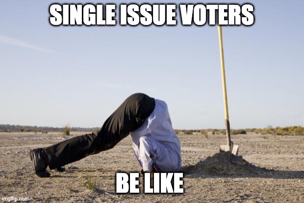 Ignorance | SINGLE ISSUE VOTERS; BE LIKE | image tagged in ignorance | made w/ Imgflip meme maker