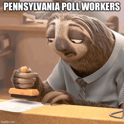 Poll workers | PENNSYLVANIA POLL WORKERS | image tagged in slow sloth | made w/ Imgflip meme maker