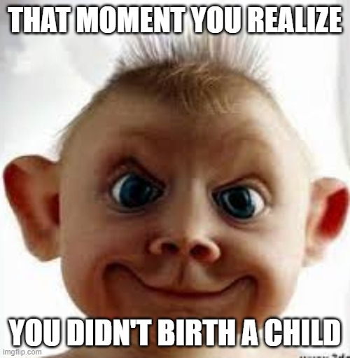Not A Child | THAT MOMENT YOU REALIZE; YOU DIDN'T BIRTH A CHILD | image tagged in alien baby,big smile | made w/ Imgflip meme maker