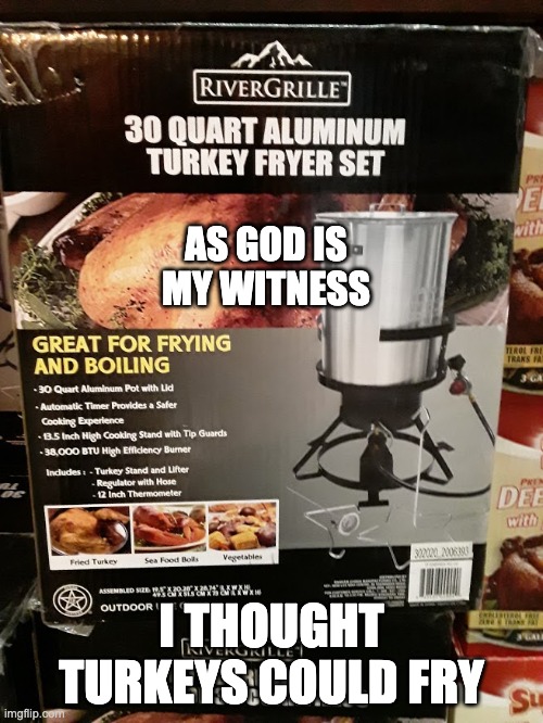 I Thought Turkeys Could Fry | AS GOD IS MY WITNESS; I THOUGHT TURKEYS COULD FRY | image tagged in turkey frier | made w/ Imgflip meme maker