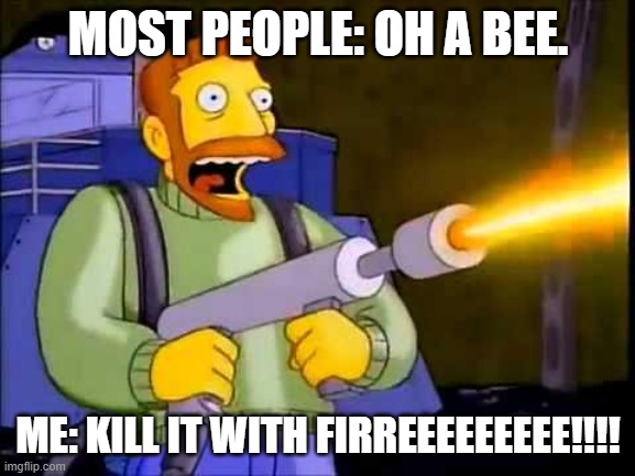 i am terrified of bees | MOST PEOPLE: OH A BEE. ME: KILL IT WITH FIRREEEEEEEEE!!!! | image tagged in kill it with fire | made w/ Imgflip meme maker