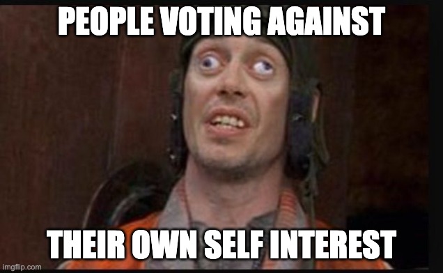 Idiots  | PEOPLE VOTING AGAINST; THEIR OWN SELF INTEREST | image tagged in idiots | made w/ Imgflip meme maker