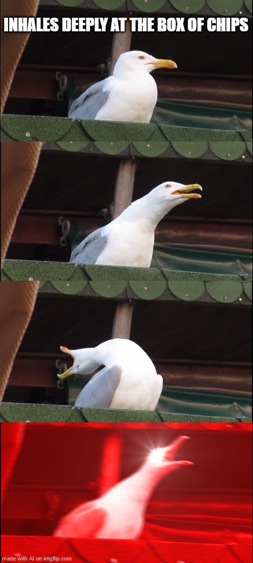 theres never enough chips | INHALES DEEPLY AT THE BOX OF CHIPS | image tagged in memes,inhaling seagull | made w/ Imgflip meme maker