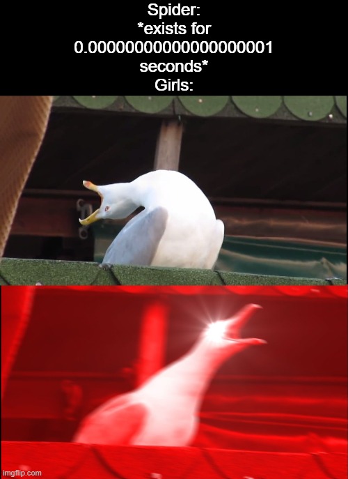 Screaming bird | Spider: *exists for 0.00000000000000000001 seconds*
Girls: | image tagged in screaming bird,memes | made w/ Imgflip meme maker