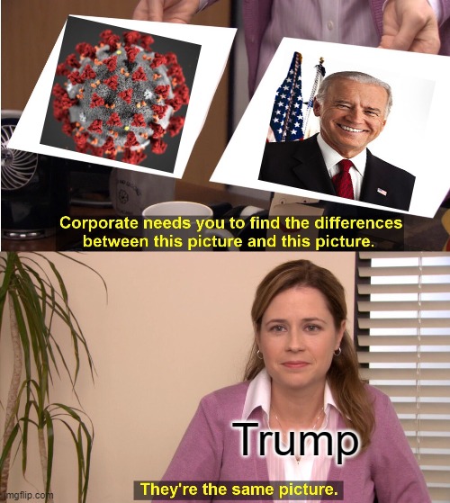 They're The Same Picture | Trump | image tagged in memes,they're the same picture | made w/ Imgflip meme maker