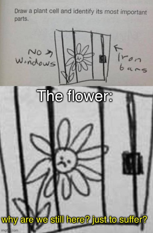 Poor flower :( | The flower:; why are we still here? just to suffer? | image tagged in sad,funny kid testing,memes,funny | made w/ Imgflip meme maker