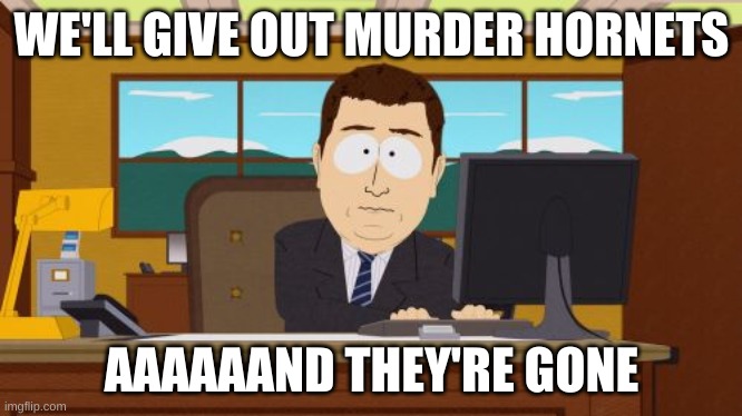 Aaaaand Its Gone | WE'LL GIVE OUT MURDER HORNETS; AAAAAAND THEY'RE GONE | image tagged in memes,aaaaand its gone | made w/ Imgflip meme maker