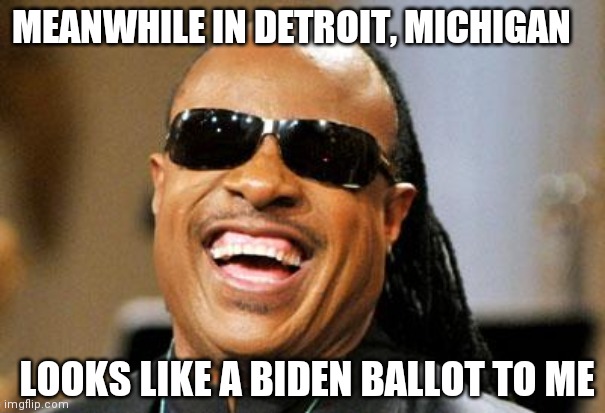 Stevie Wonder | MEANWHILE IN DETROIT, MICHIGAN; LOOKS LIKE A BIDEN BALLOT TO ME | image tagged in stevie wonder | made w/ Imgflip meme maker