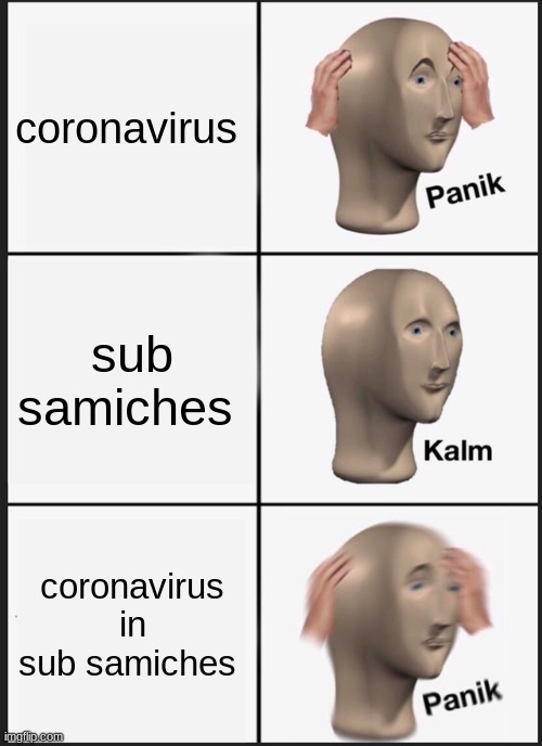 Panik Kalm Panik | coronavirus; sub samiches; coronavirus in sub samiches | image tagged in memes,panik kalm panik | made w/ Imgflip meme maker