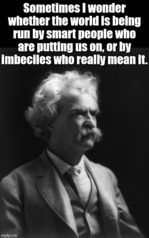 Mark Twain Thought | Sometimes I wonder whether the world is being run by smart people who are putting us on, or by imbeciles who really mean it. | image tagged in mark twain thought,repost | made w/ Imgflip meme maker