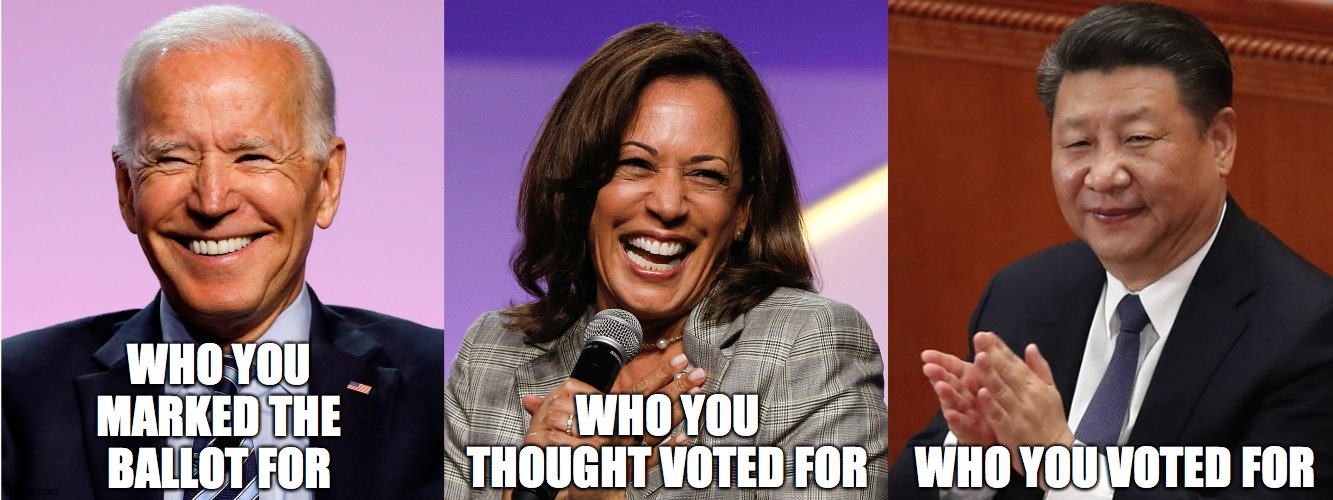 WHO YOU MARKED THE BALLOT FOR; WHO YOU THOUGHT VOTED FOR; WHO YOU VOTED FOR | image tagged in joe biden | made w/ Imgflip meme maker