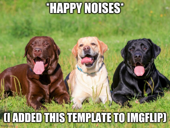 labbos | *HAPPY NOISES* (I ADDED THIS TEMPLATE TO IMGFLIP) | image tagged in labbos | made w/ Imgflip meme maker