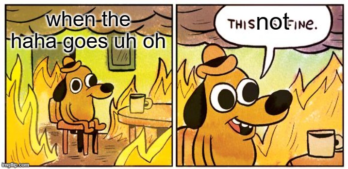 Yes | not; when the haha goes uh oh | image tagged in memes,this is fine | made w/ Imgflip meme maker