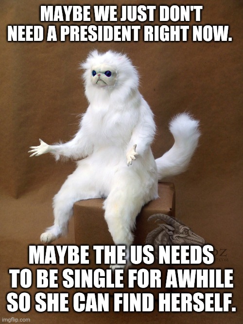 Single America |  MAYBE WE JUST DON'T NEED A PRESIDENT RIGHT NOW. MAYBE THE US NEEDS TO BE SINGLE FOR AWHILE SO SHE CAN FIND HERSELF. | image tagged in memes,persian cat room guardian single | made w/ Imgflip meme maker