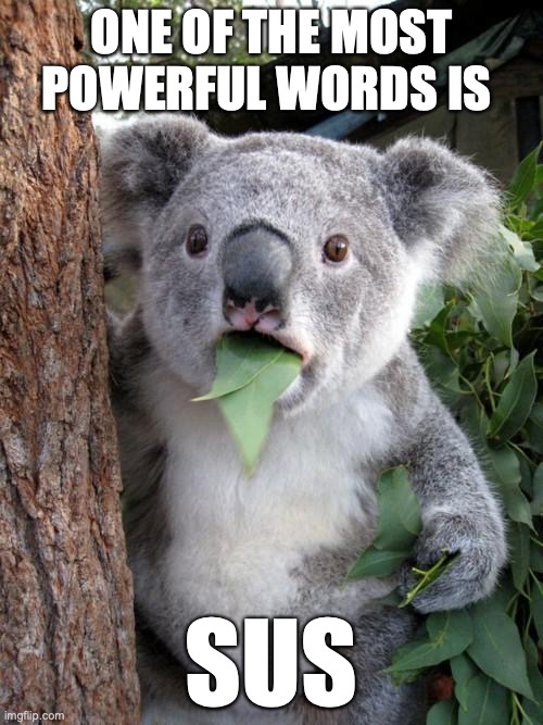 Surprised Koala | ONE OF THE MOST POWERFUL WORDS IS; SUS | image tagged in memes,surprised koala | made w/ Imgflip meme maker