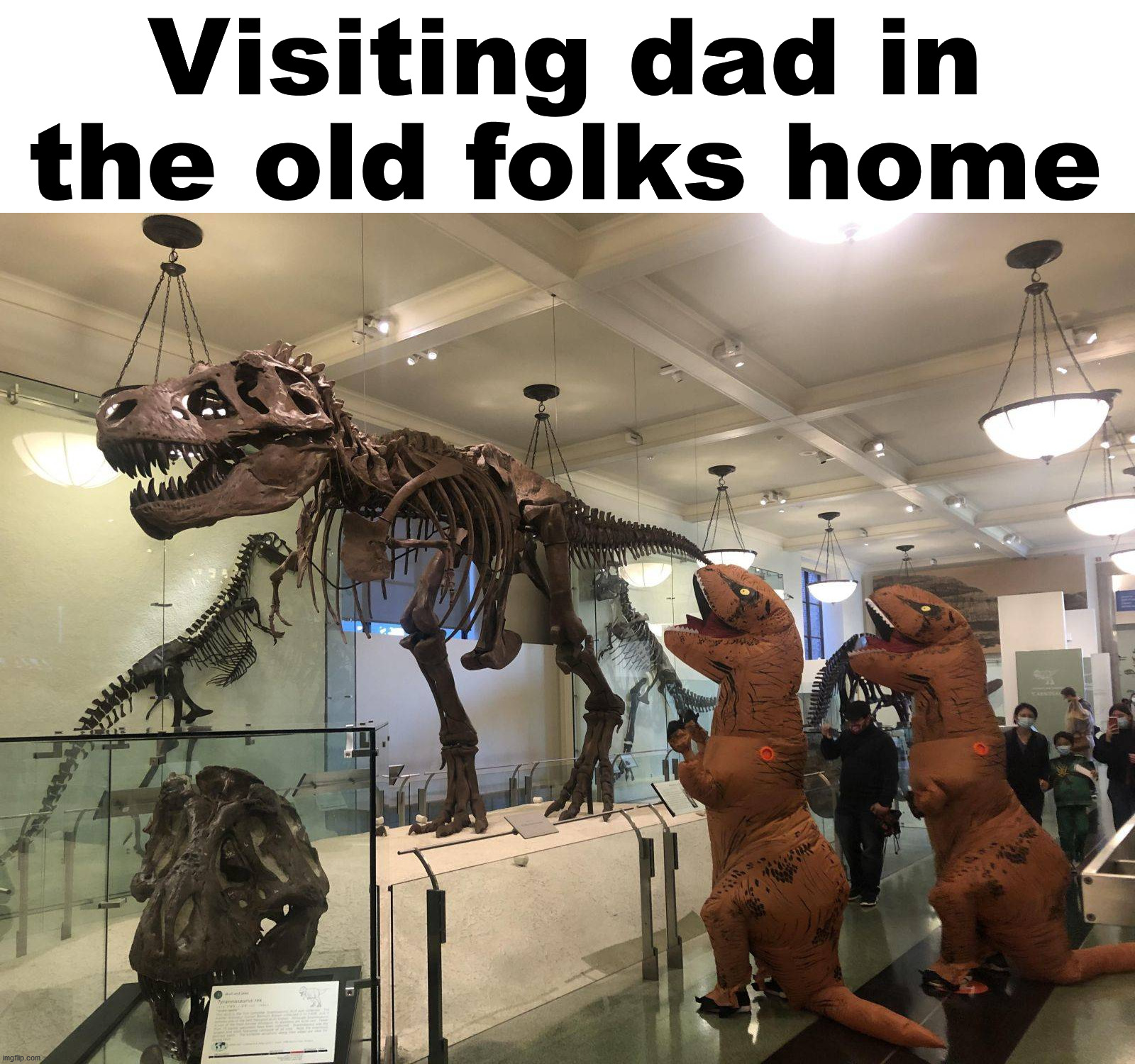 I am getting this old. | Visiting dad in the old folks home | image tagged in dinosaurs,old people,visit | made w/ Imgflip meme maker