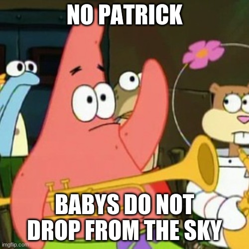 No Patrick | NO PATRICK; BABIES DO NOT DROP FROM THE SKY | image tagged in memes,no patrick | made w/ Imgflip meme maker