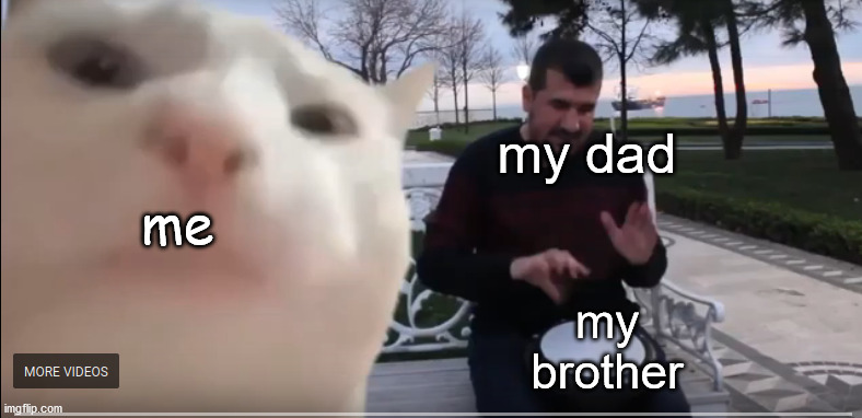 Just Vibin' | my dad; me; my brother | image tagged in vibing cat | made w/ Imgflip meme maker