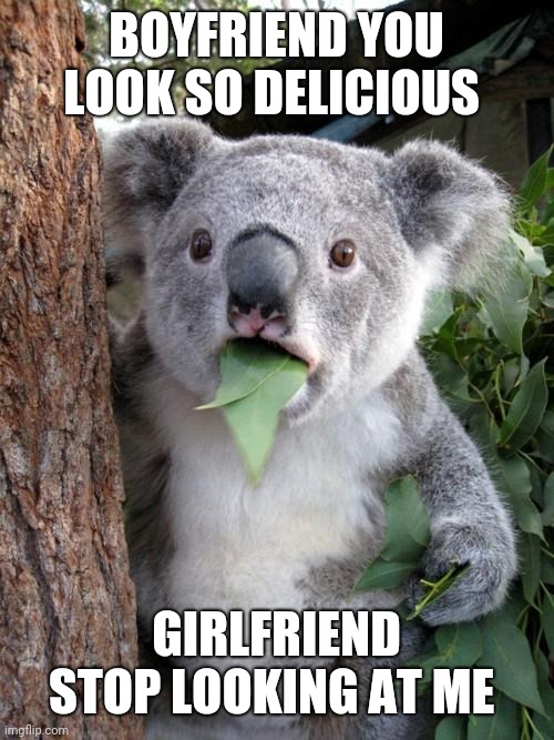 Surprised Koala | BOYFRIEND YOU LOOK SO DELICIOUS; GIRLFRIEND STOP LOOKING AT ME | image tagged in memes,surprised koala | made w/ Imgflip meme maker