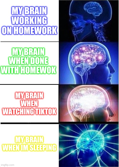 Expanding Brain Meme | MY BRAIN WORKING ON HOMEWORK; MY BRAIN WHEN DONE WITH HOMEWOK; MY BRAIN WHEN WATCHING TIKTOK; MY BRAIN WHEN IM SLEEPING | image tagged in memes,expanding brain | made w/ Imgflip meme maker