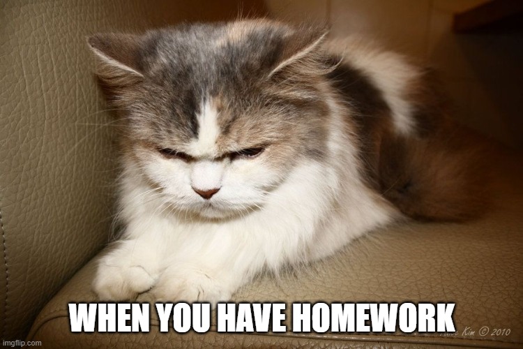 Homework | WHEN YOU HAVE HOMEWORK | image tagged in funny | made w/ Imgflip meme maker