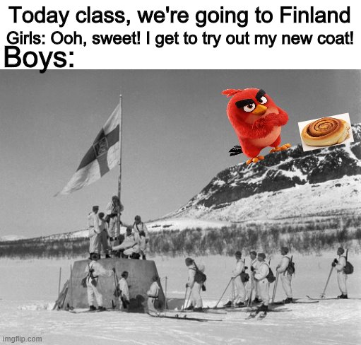 FINLAND | Today class, we're going to Finland; Girls: Ooh, sweet! I get to try out my new coat! Boys: | image tagged in angry birds,cinnamon roll,finland | made w/ Imgflip meme maker