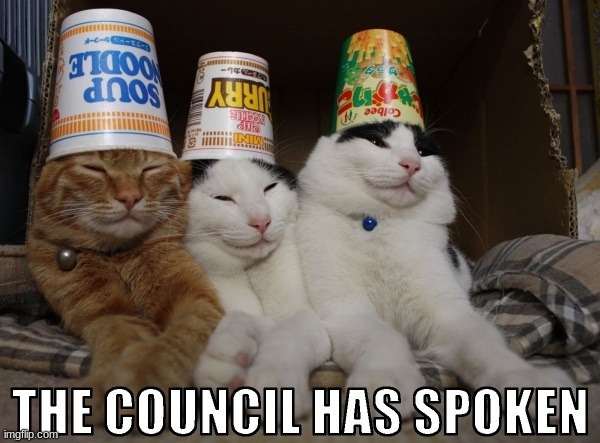 The council | image tagged in memes,cats,pog,right back at ya buckaroo,le poggers,water | made w/ Imgflip meme maker