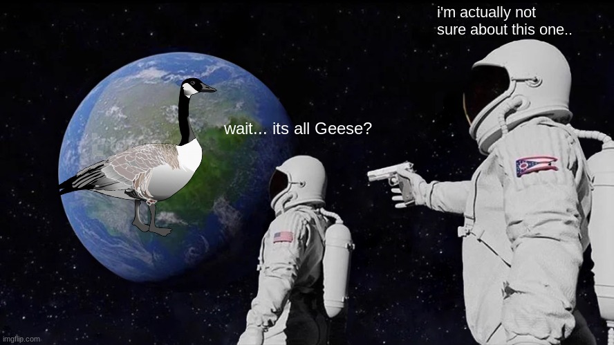 Geese? | i'm actually not sure about this one.. wait... its all Geese? | image tagged in memes,always has been | made w/ Imgflip meme maker