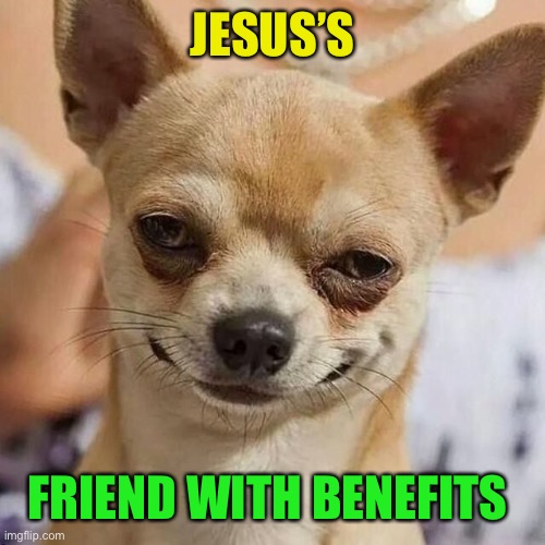 Smirking Dog | JESUS’S FRIEND WITH BENEFITS | image tagged in smirking dog | made w/ Imgflip meme maker